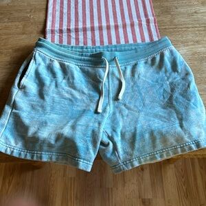 Chubbies shorts
